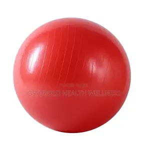 Gym Ball Swb55 Swiss Balls 55cm, [ Red Blue ]