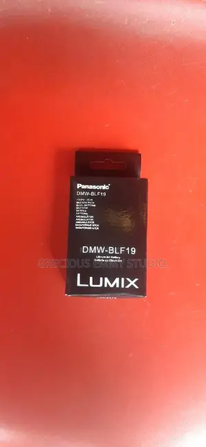 Gh5/Gh4 Camera Battery