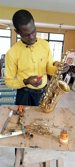 Violin/Saxophone Professional Trainer