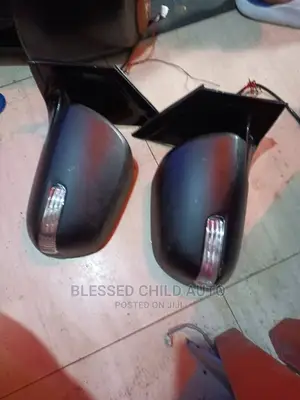 Set Side Mirror Lexus Rx 330 With Pointer