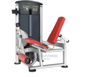 It9505 Leg Extension