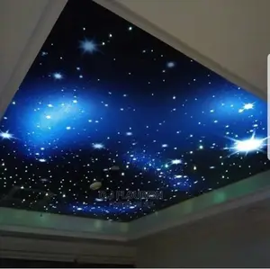 Super Adorable 3D Stretch Ceiling