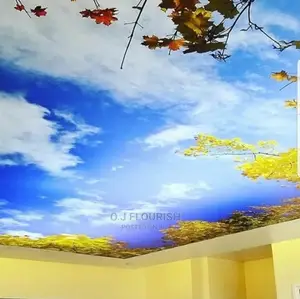 3D Stretch Ceiling Designs