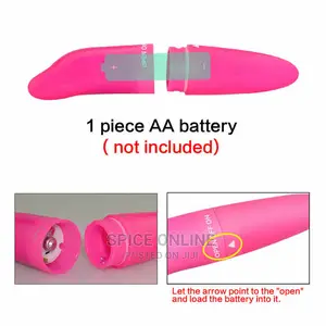 High Star Dolphin Vibrator