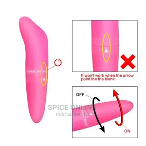 High Star Dolphin Vibrator