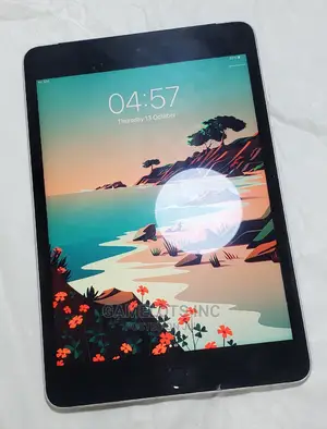 Apple iPad mini 4 64 GB Gray