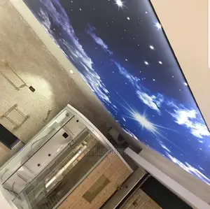 Nice 3D Stretch Ceiling Designs