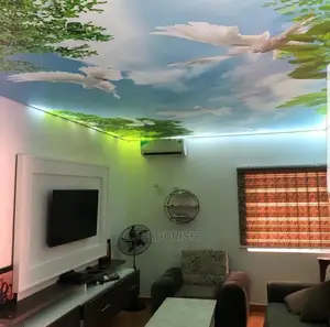 3D Stretch Ceiling Dopey Installation