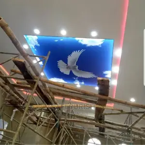 Eagles Wing 3D Stretch Ceiling