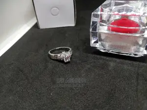 Beautiful Ladies Silver Proposal 0002 - Silver
