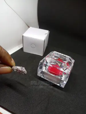 Beautiful Ladies Silver Proposal 0002 - Silver