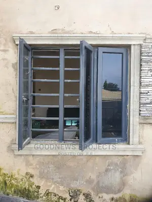 Burglary With Net Window