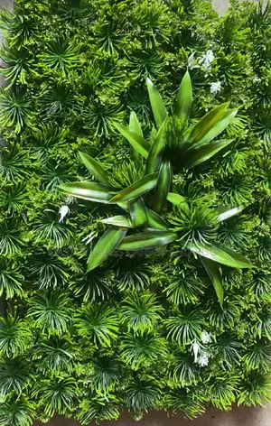 Top Grade Artificial Plants Design