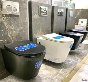 Black Wall Hug Toilet