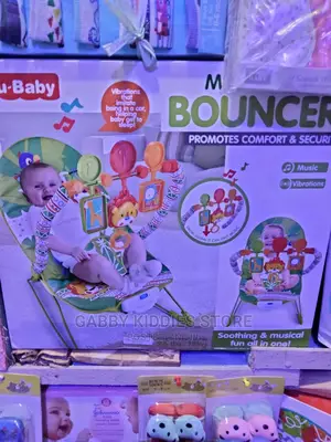 Baby Bouncer