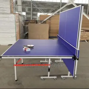 Foldable Indoor Tennis Table