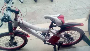 Children Size 20 Bike