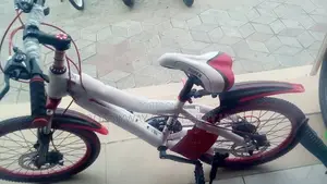 Children Size 20 Bike