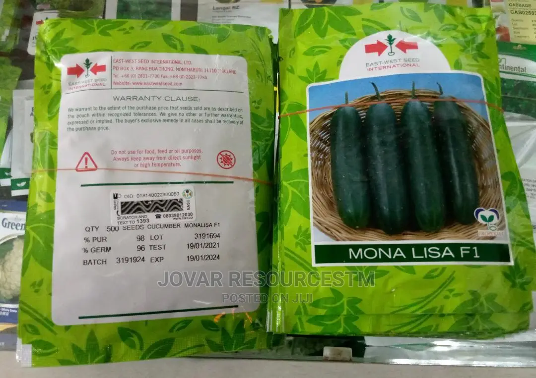 Best Improved Cucumber Seeds
