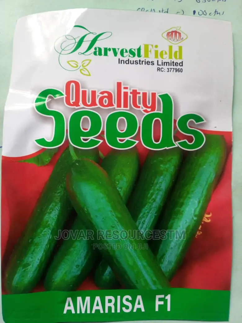 Best Improved Cucumber Seeds