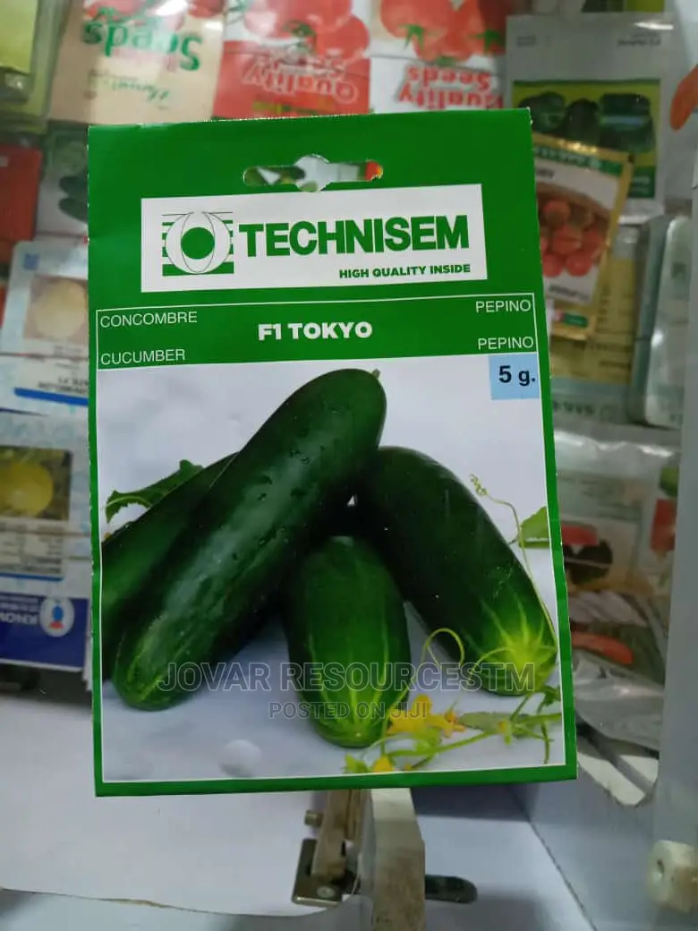 Best Improved Cucumber Seeds