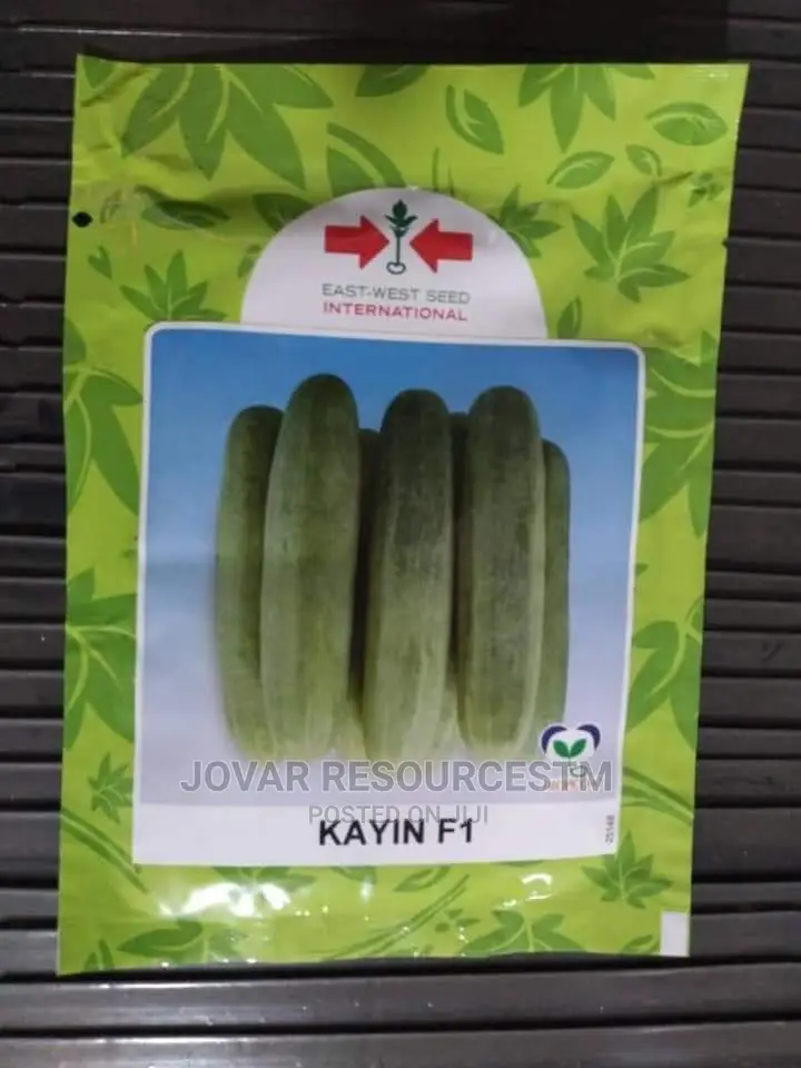 Best Improved Cucumber Seeds