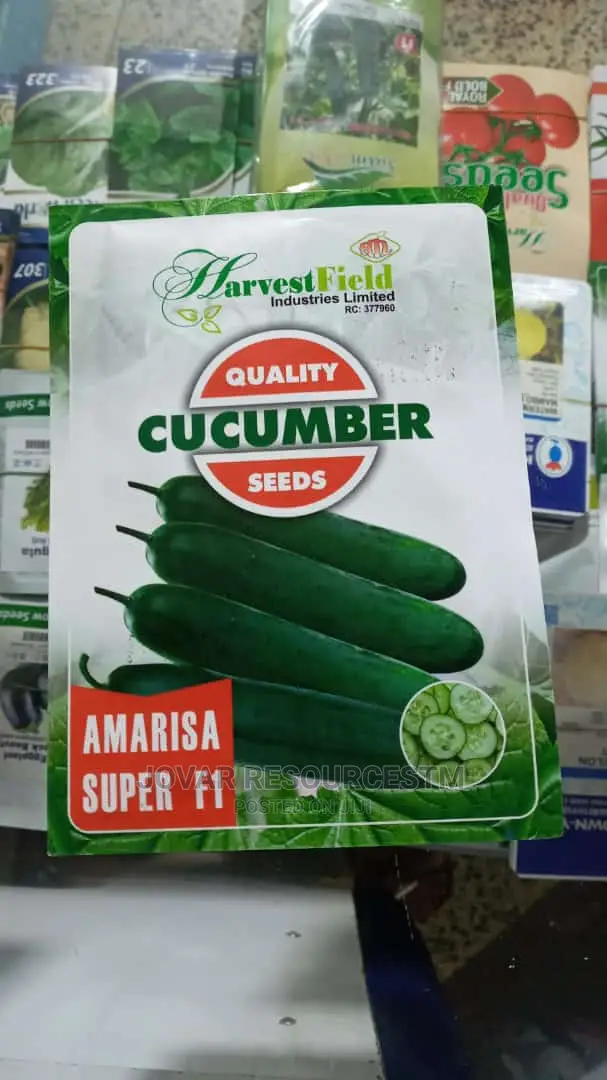 Best Improved Cucumber Seeds