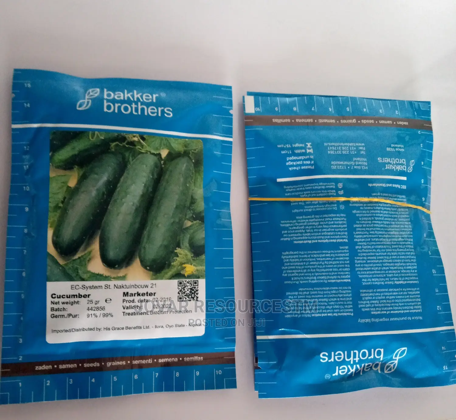 Best Improved Cucumber Seeds