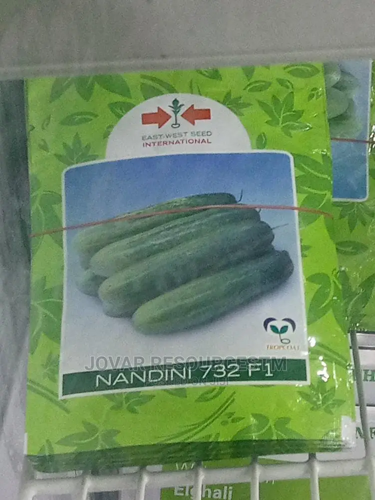 Best Improved Cucumber Seeds