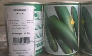 Best Improved Cucumber Seeds