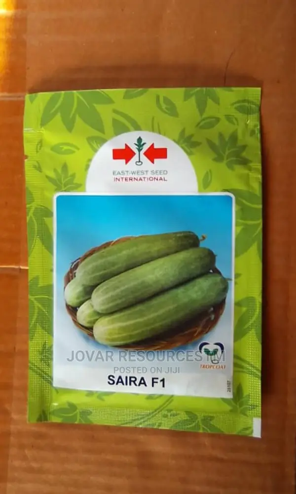 Best Improved Cucumber Seeds