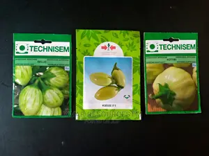 Best Garden Egg / Eggplant Seeds