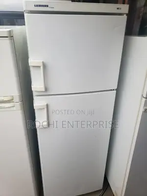 LIEBHEER Fridge With Freezer Refrigerator