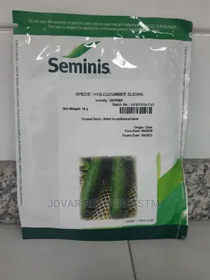 Best Improved Cucumber Seeds