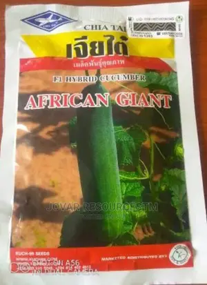 Best Improved Cucumber Seeds
