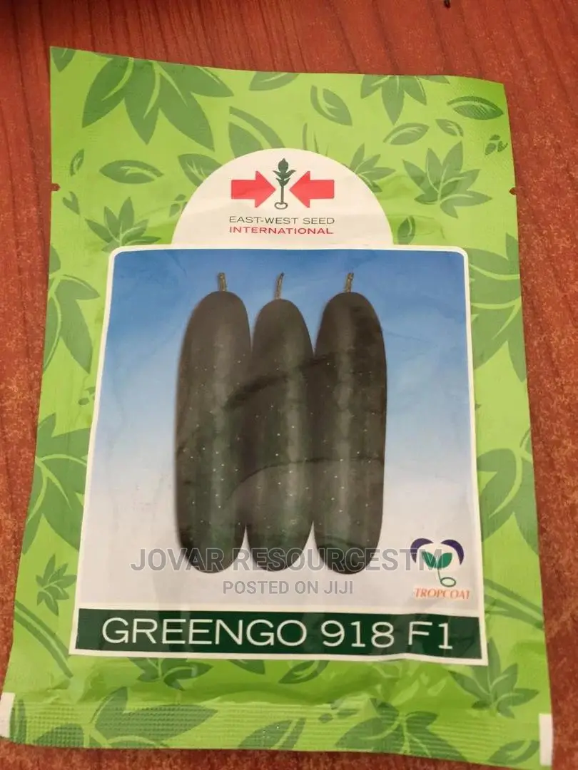 Best Improved Cucumber Seeds
