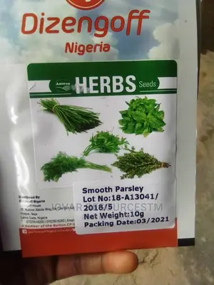 Best Herbs Seeds