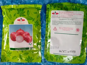 Best Onion Seeds