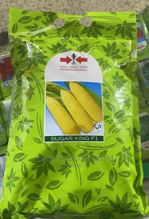 Best Sweet Corn Seeds