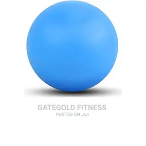 Pv-smb Silicon Massage Ball (Orange/Red/Blue/Pink/Purple)