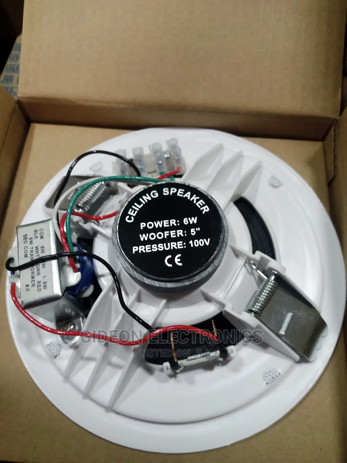 Cieling Speaker