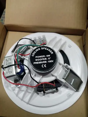 Cieling Speaker