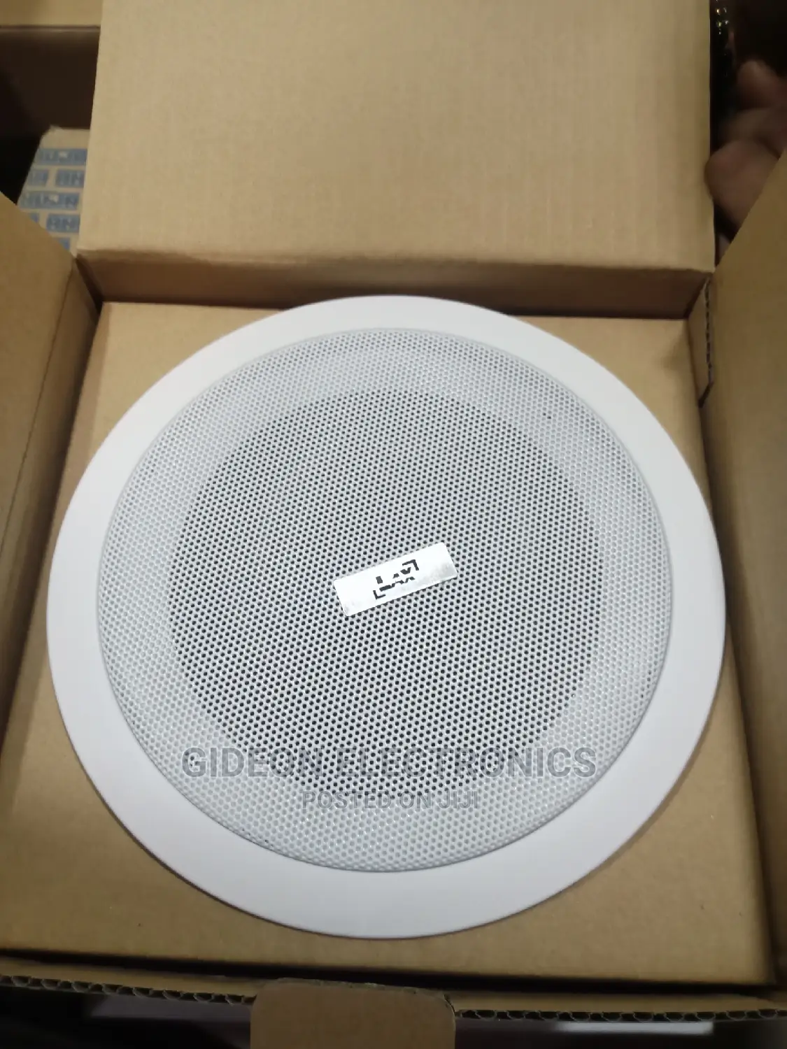 Cieling Speaker
