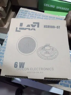 Cieling Speaker