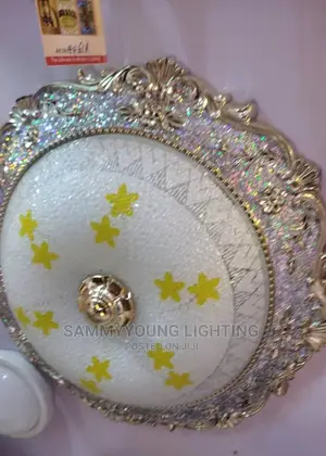 Ceiling Fitting Lights
