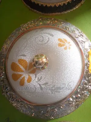 Ceiling Fitting Lights