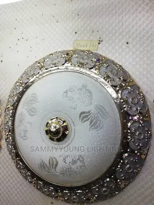 Ceiling Fitting Lights