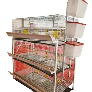 120 Layer or 120 Broiler Cage Imported 20year + Lifespan