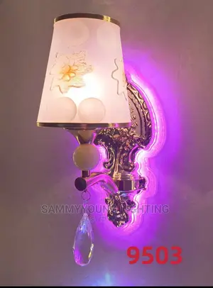 LED Wall Bracket