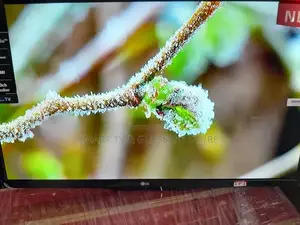 LG 43" Ultra HD Tv